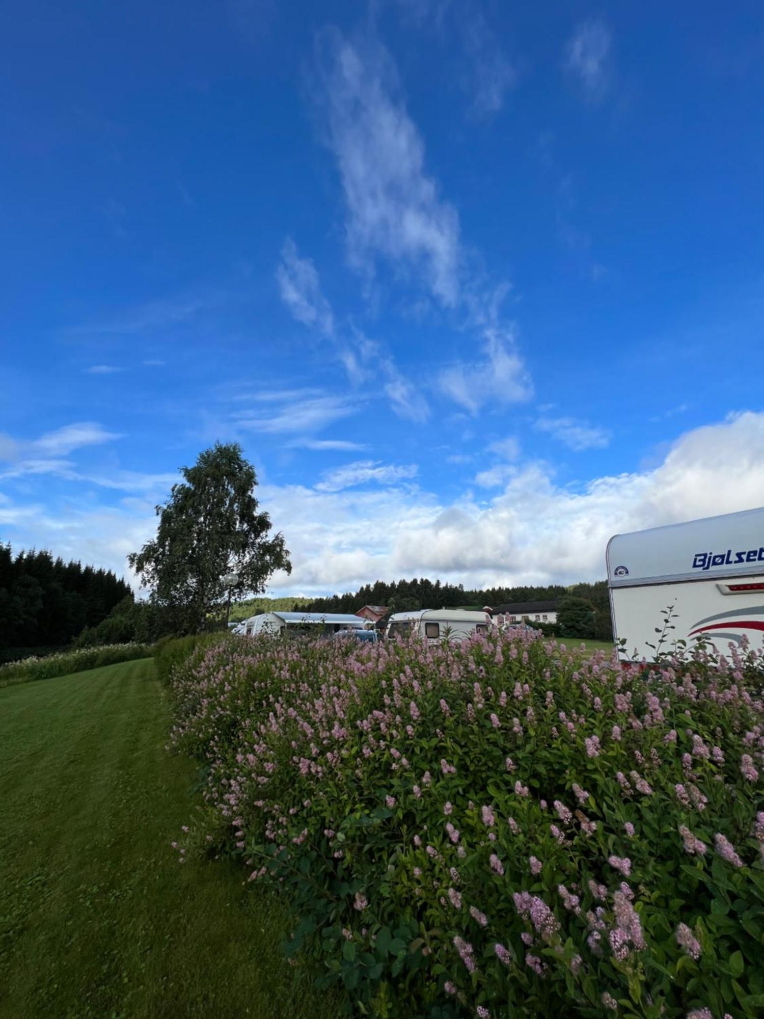 Gullvag Camping Nyberg Soknedal Exteriér fotografie