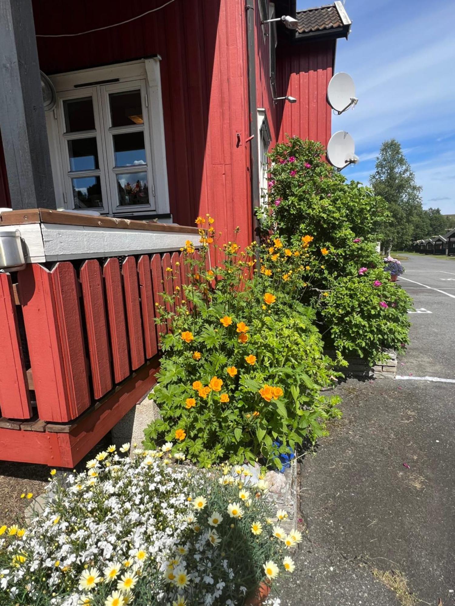 Gullvag Camping Nyberg Soknedal Exteriér fotografie