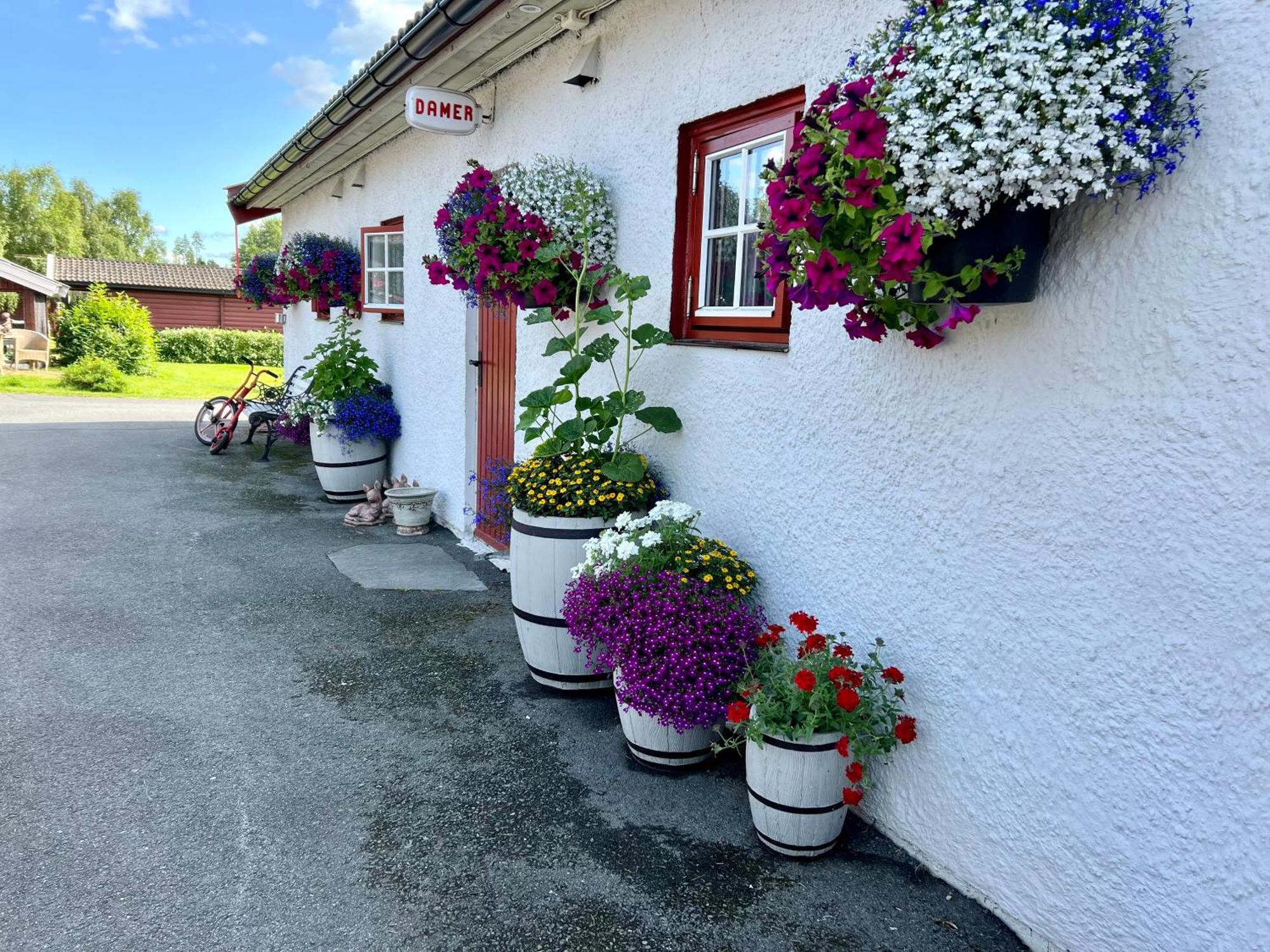 Gullvag Camping Nyberg Soknedal Exteriér fotografie