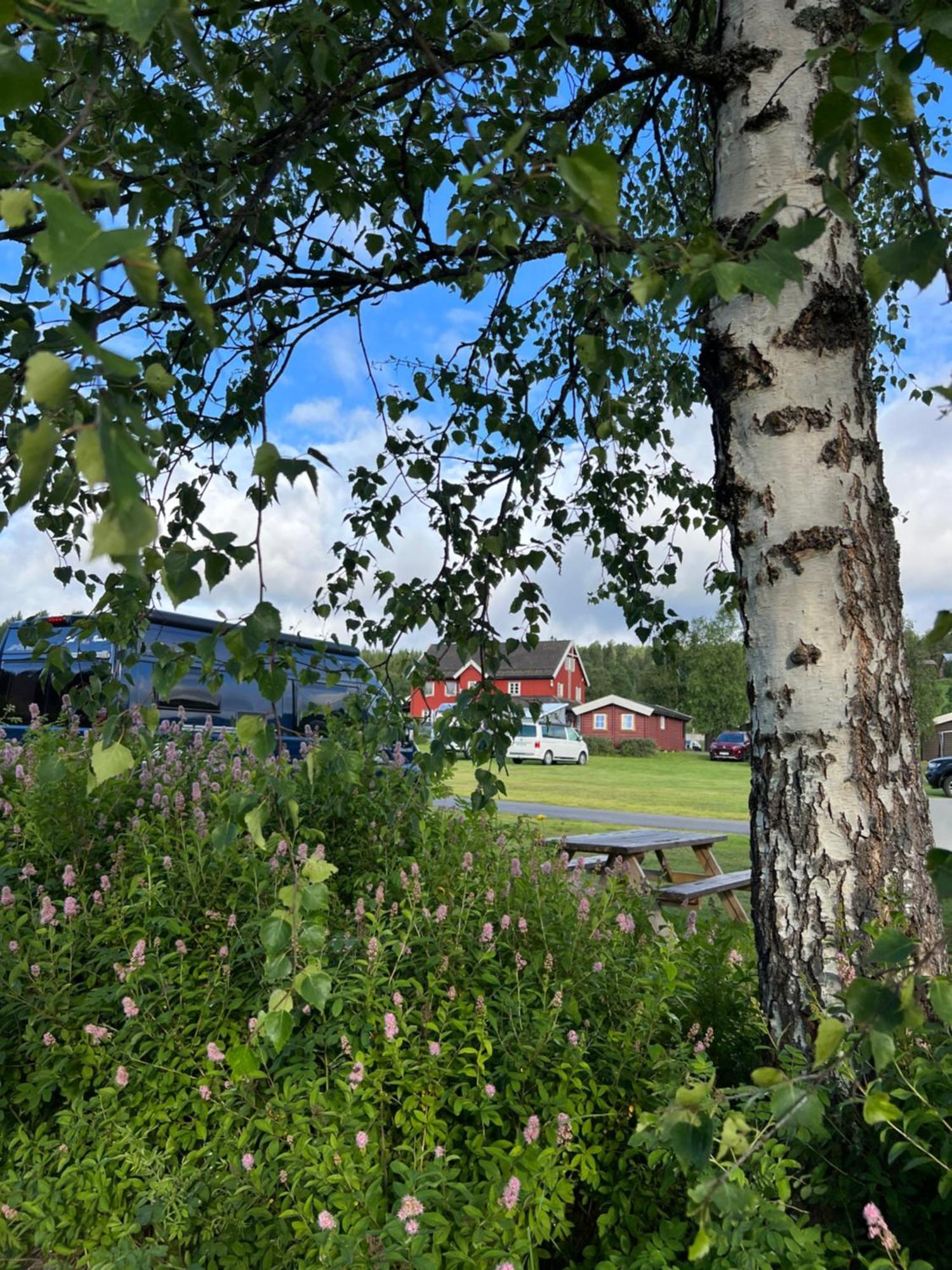 Gullvag Camping Nyberg Soknedal Exteriér fotografie