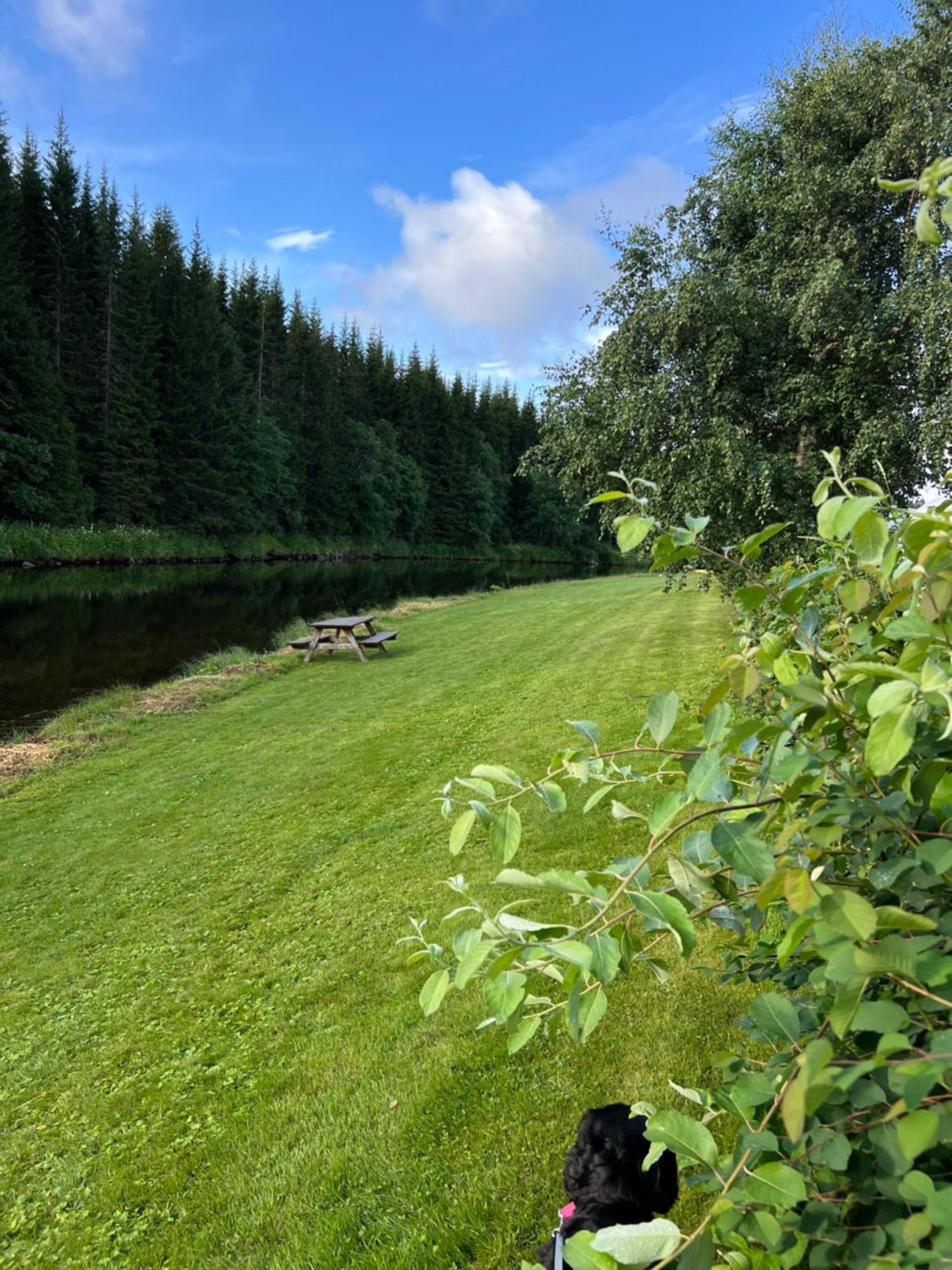 Gullvag Camping Nyberg Soknedal Exteriér fotografie